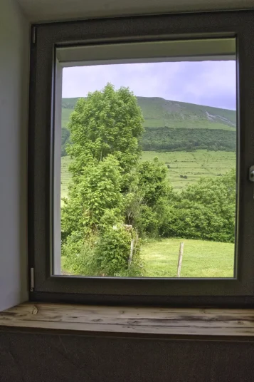 Vue sur le grand serre chambre hêtre